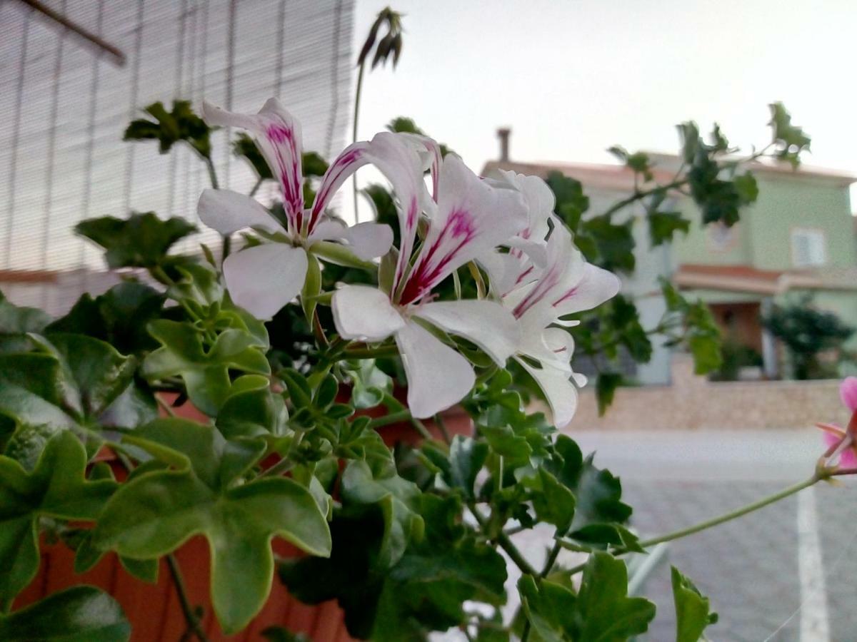 Anamarija Zadar Exterior foto